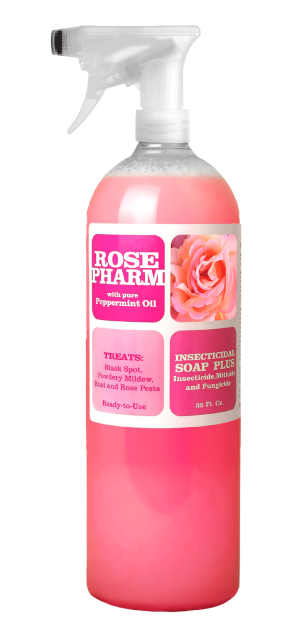 Rose Pharm