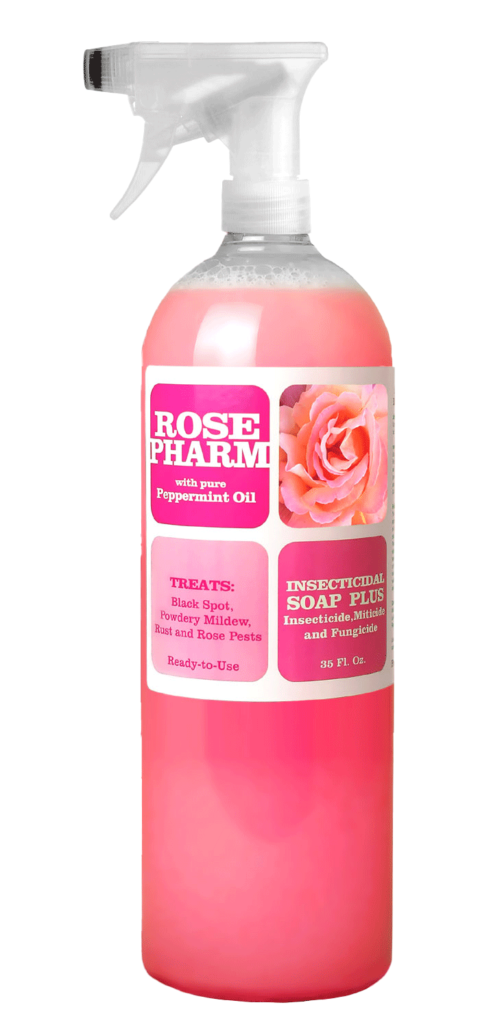 Rose Pharm